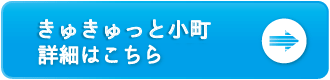 するるのおめぐみ詳細ボタン