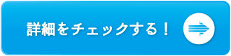 骨盤モデル美脚メソコース