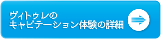 美脚メソコースボタン