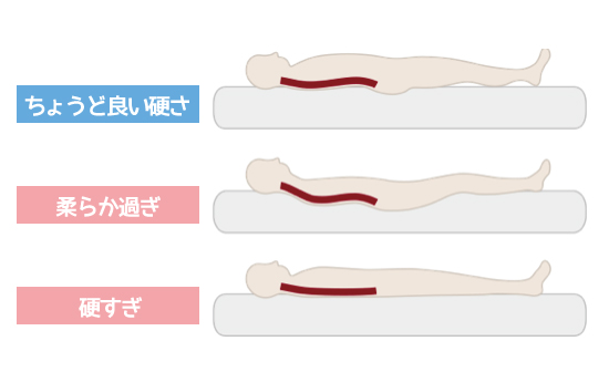 背骨がS字カーブを描けるように身体を支える硬さ