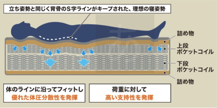 立った姿勢と同じ姿勢で寝ることができる