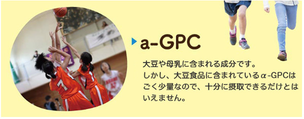 α-GPC