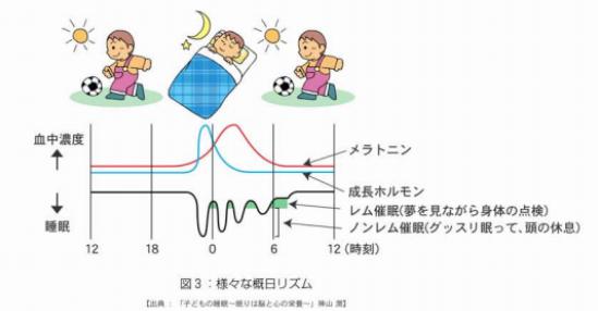 <h3>「早寝・早起き・朝ごはん」</h3> 「睡眠」は、身体の発育成長、学力面、心の安定などに影響を与えます。 下の表を参考にしていただけるとわかるように、夜眠りにつき、深い睡眠に落ちたとき成長ホルモンが分泌されます。 ※成長ホルモン：身体の成長を促し脂肪を分解するホルモン物質のこと。