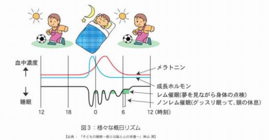 <h3>「早寝・早起き・朝ごはん」</h3> 「睡眠」は、身体の発育成長、学力面、心の安定などに影響を与えます。 下の表を参考にしていただけるとわかるように、夜眠りにつき、深い睡眠に落ちたとき成長ホルモンが分泌されます。 ※成長ホルモン：身体の成長を促し脂肪を分解するホルモン物質のこと。