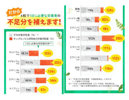 1日に必要な栄養摂取量