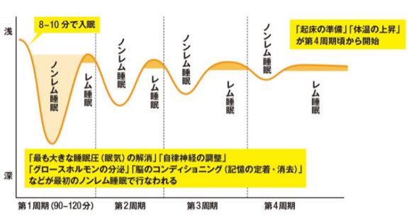 最初の90分間の睡眠を大切にする