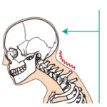 首の筋肉に負担がかからない枕