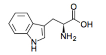 トリプトファンの化学構造式