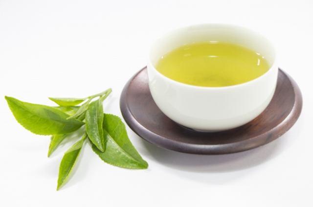 お茶の木の葉